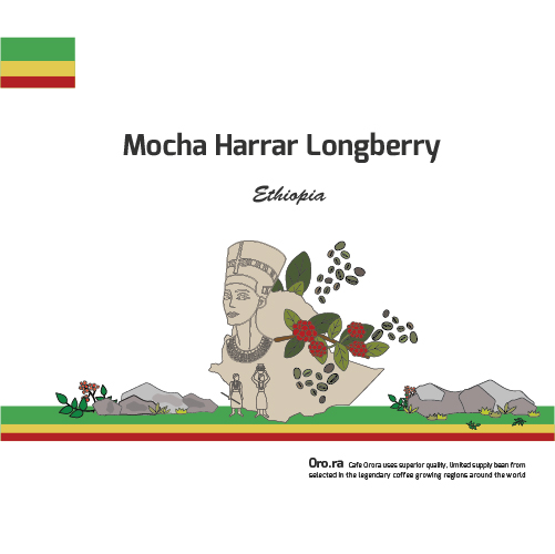Mocha Harrar Longberry (Ethiopia)