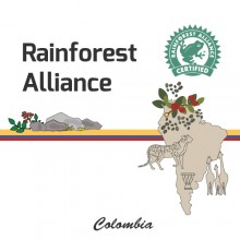 [Colombia] Rainforest Alliance