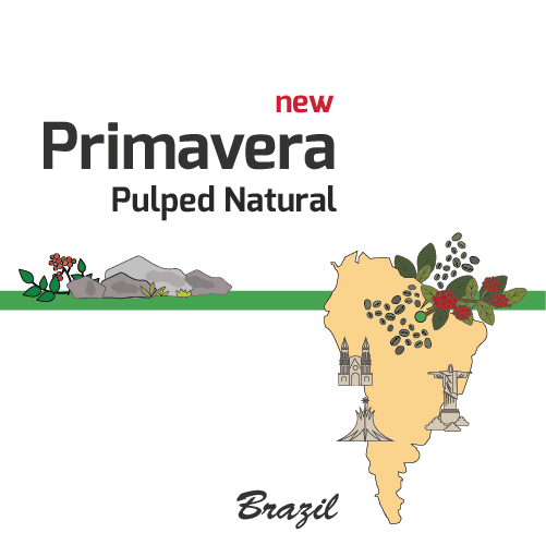 [Brazil] Premavera [Natural]