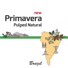 [Brazil] Premavera [Natural]